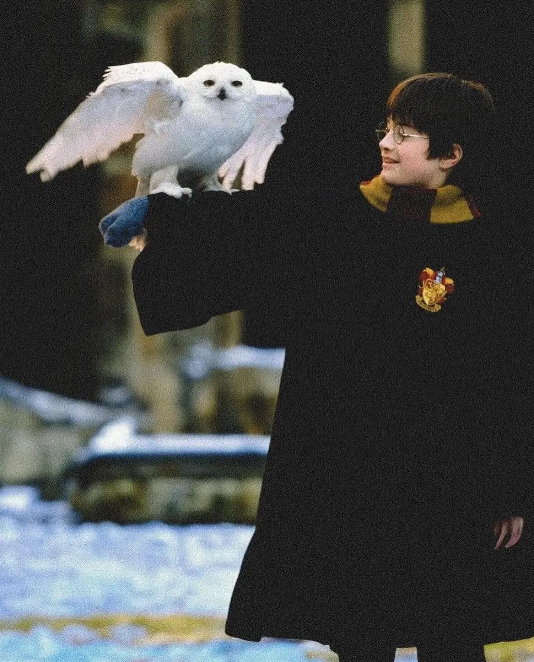 9¾站台集合！谁说麻瓜的世界里没有魔法？封面图