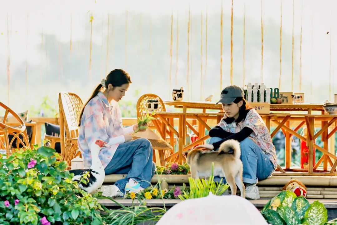 女孩子间的友情，简简单单就很美好封面图