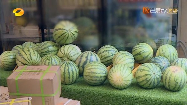 最大年龄差36岁的哥哥们，能玩到一起去吗？封面图