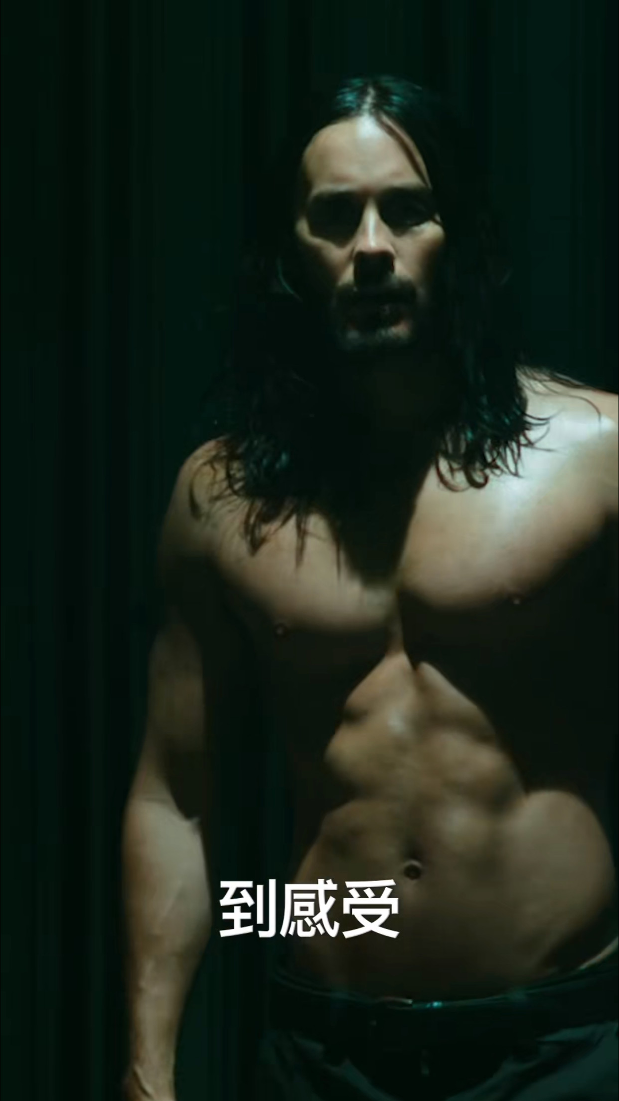 竖屏看蝙蝠侠更过瘾？还是横着的吸血鬼更气派！封面图