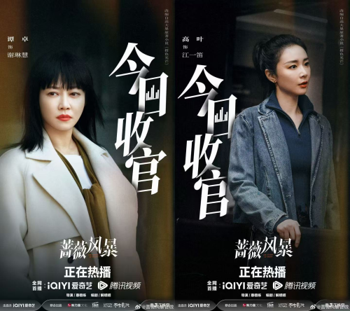 《蔷薇风暴》收官热议不断 谭卓高叶丛林突围成就开年口碑黑马封面图