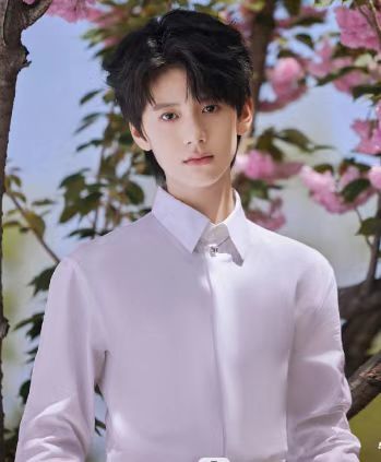 2025年中国十大影响力童星 杨恩又林子烨郭博弈上榜