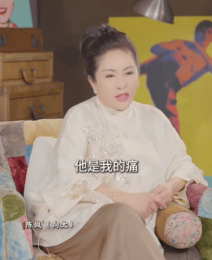 向太回应为什么不提小儿子向佑：他是我的痛