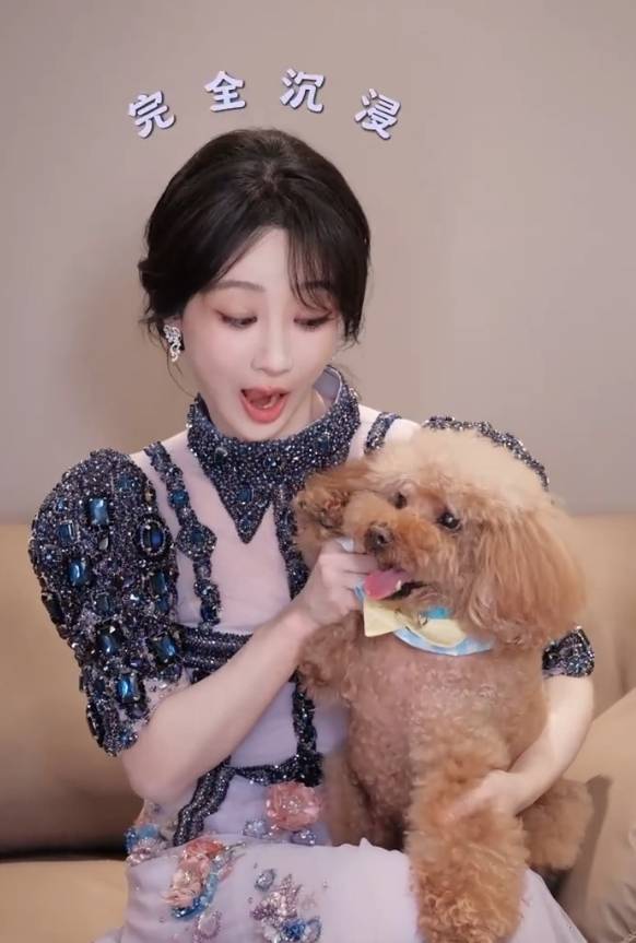 杨紫逗宠物狗玩超开心。