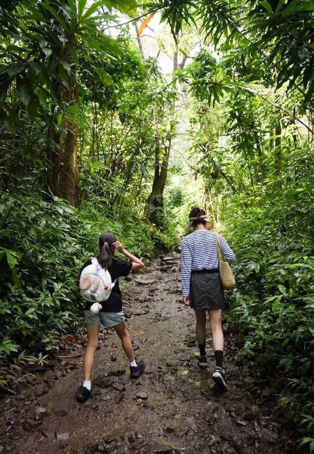 孙俪带一双儿女爬山。
