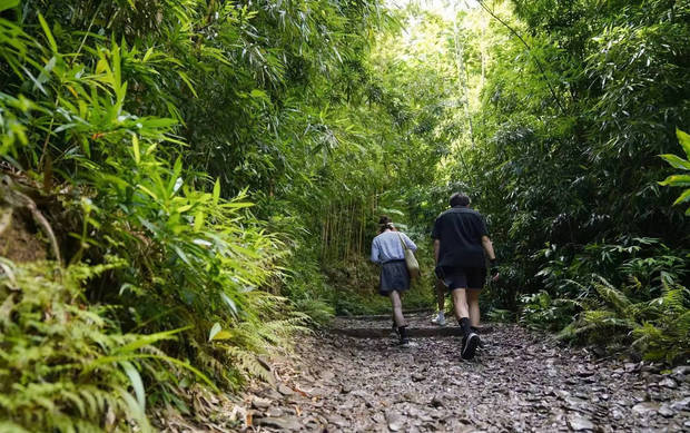 邓超紧跟在孩子们身后。