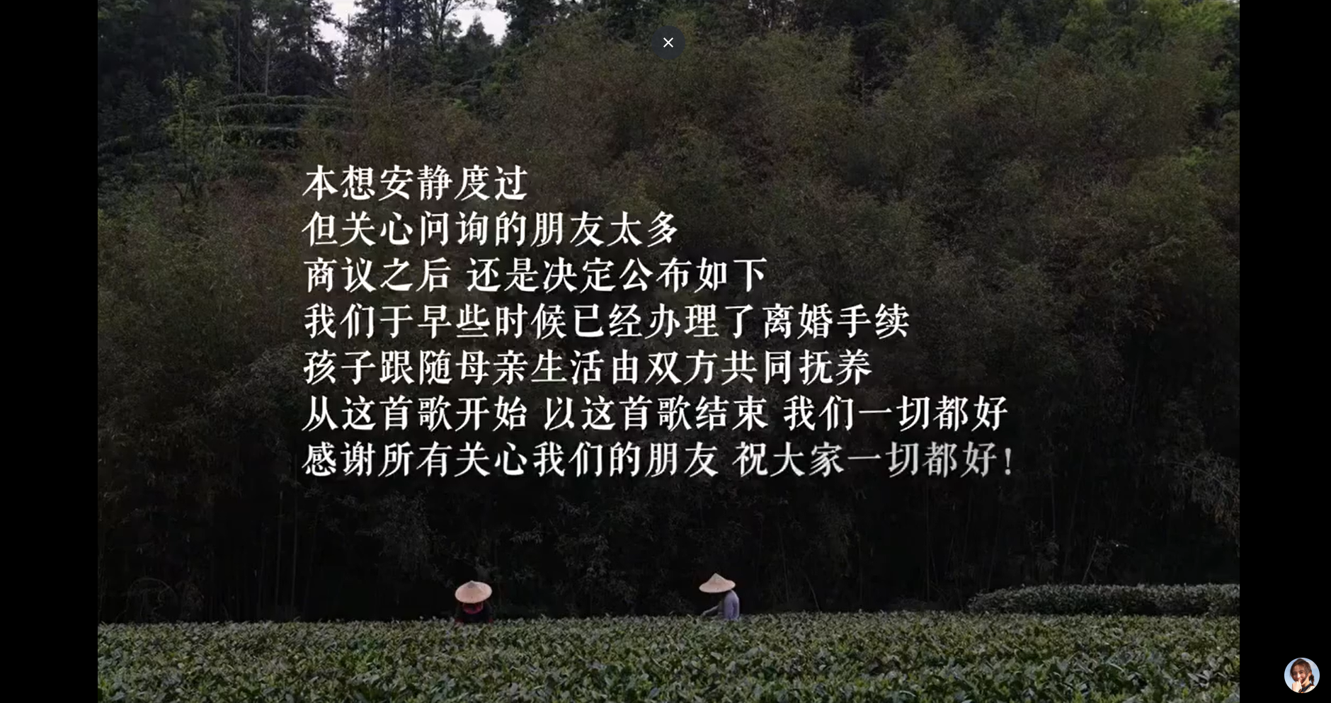 李亚鹏海哈金喜官宣离婚