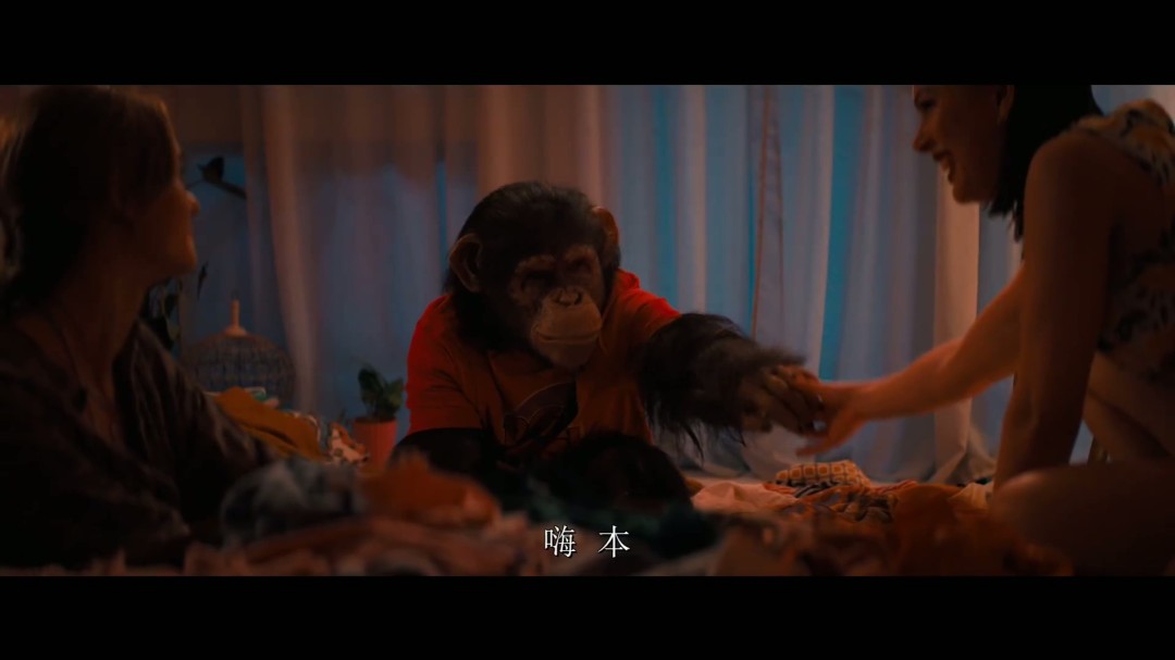 恐怖片《猩疯血雨》首曝预告 性感美女遭杀戮