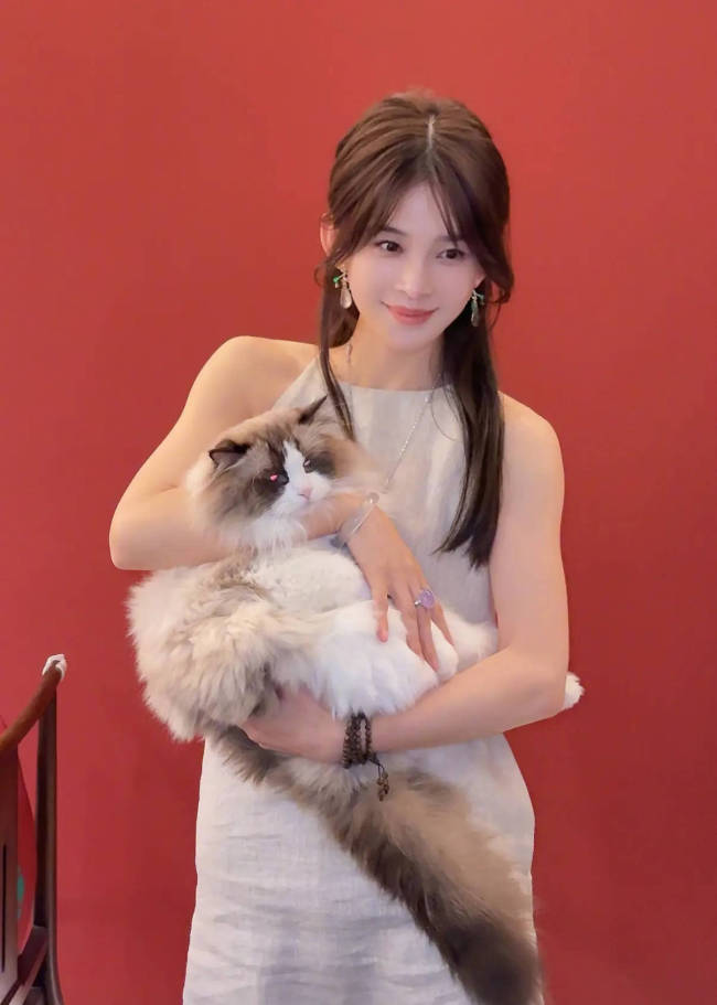 赵樱子对陈晓一见钟情：他现在单身了我也不敢主动