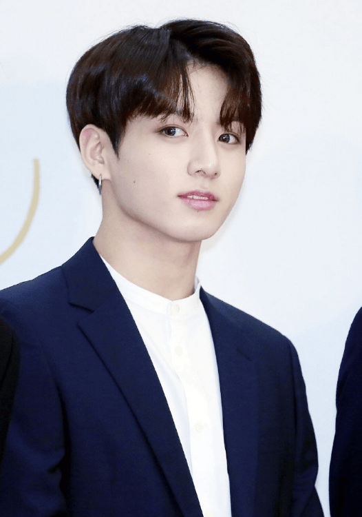 女子涉嫌私闯田柾国住宅被捕 保安监控发现并报警