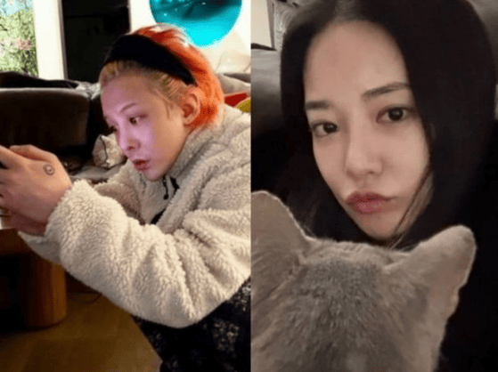 权志龙方否认与李珠妍恋爱传闻