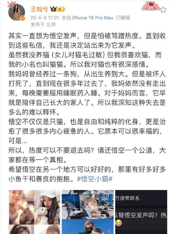 杜淳妻子为网红小猫发声:请还悟空一个公道