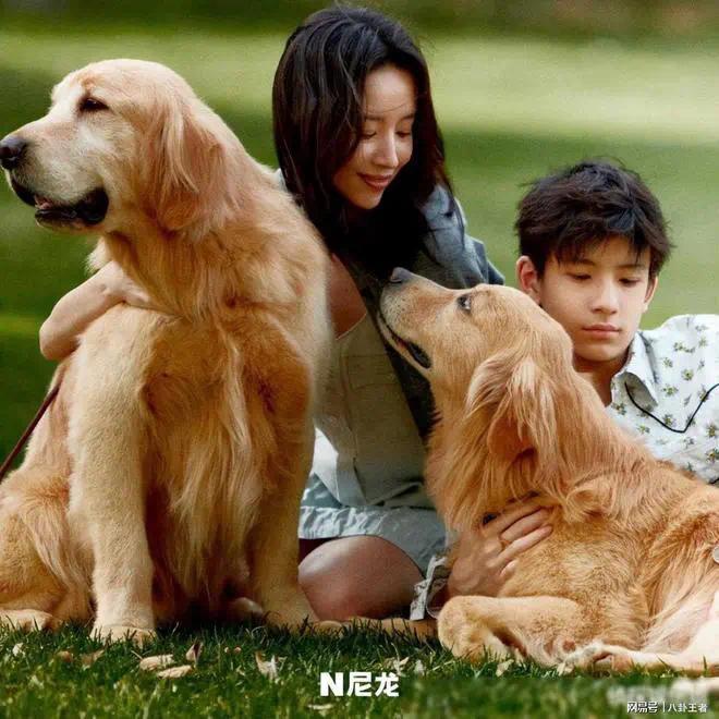 董洁儿子神似梁朝伟！不像爸爸潘粤明，大鼻子跟梁朝伟如出一辙封面图