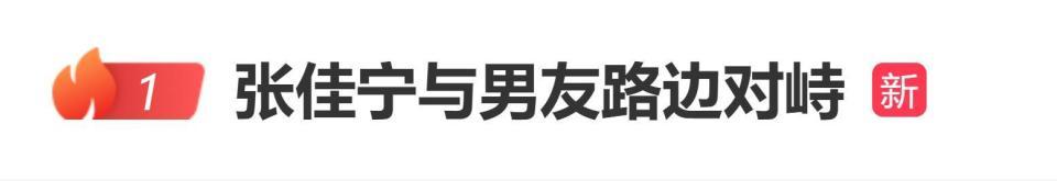 张佳宁被曝与男友路边对峙，疑似张佳宁新恋情曝光封面图