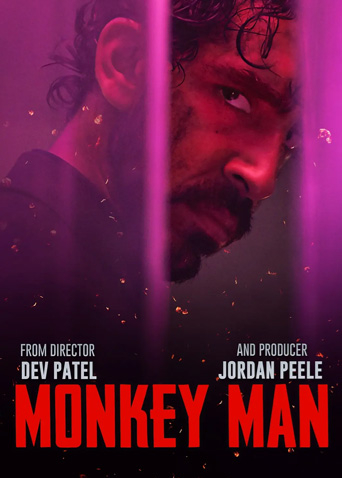 怒火战猴封面图