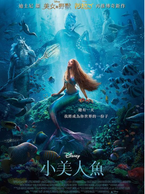 小美人鱼封面图