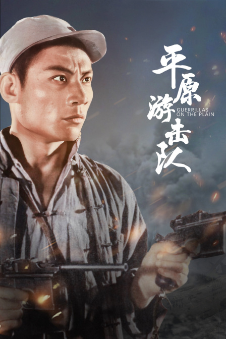 平原游击队封面图