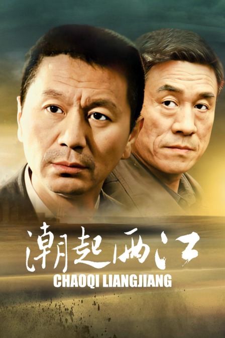 潮起两江封面图