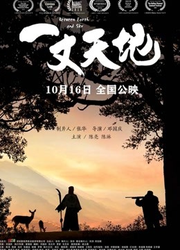 一丈天地封面图