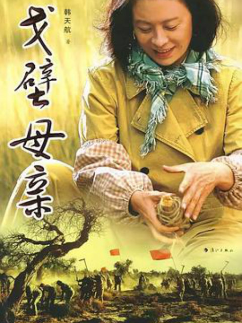 戈壁母亲封面图