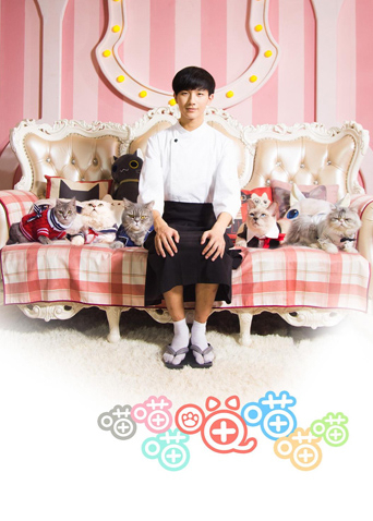 喵喵喵喵喵喵喵封面图