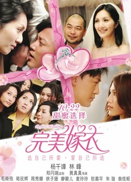 完美嫁衣封面图