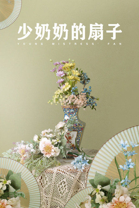 少奶奶的扇子封面图