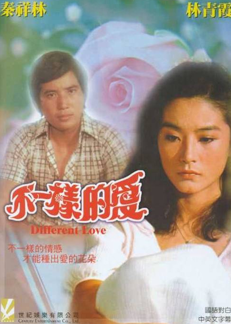 不一样的爱封面图