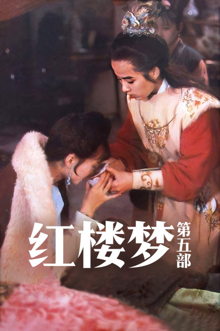 红楼梦 第五部封面图