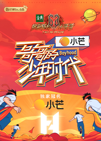 哥哥的少年时代封面图