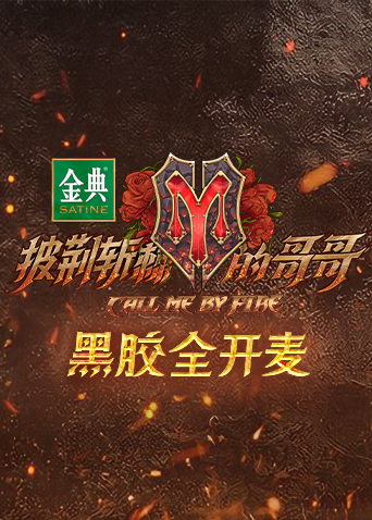 披荆斩棘的哥哥黑胶全开麦封面图