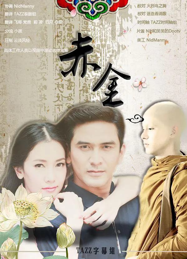 赤金2013[电影解说]封面图