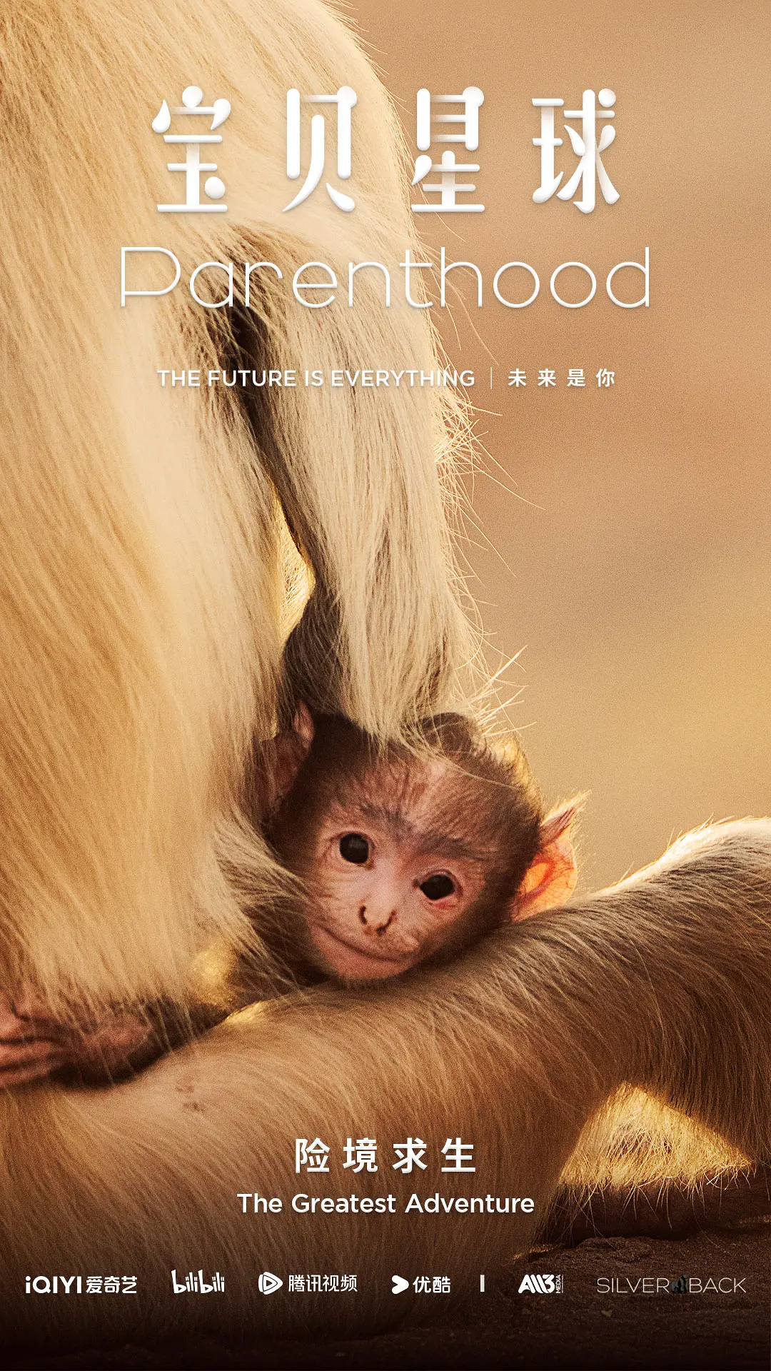 宝贝星球封面图