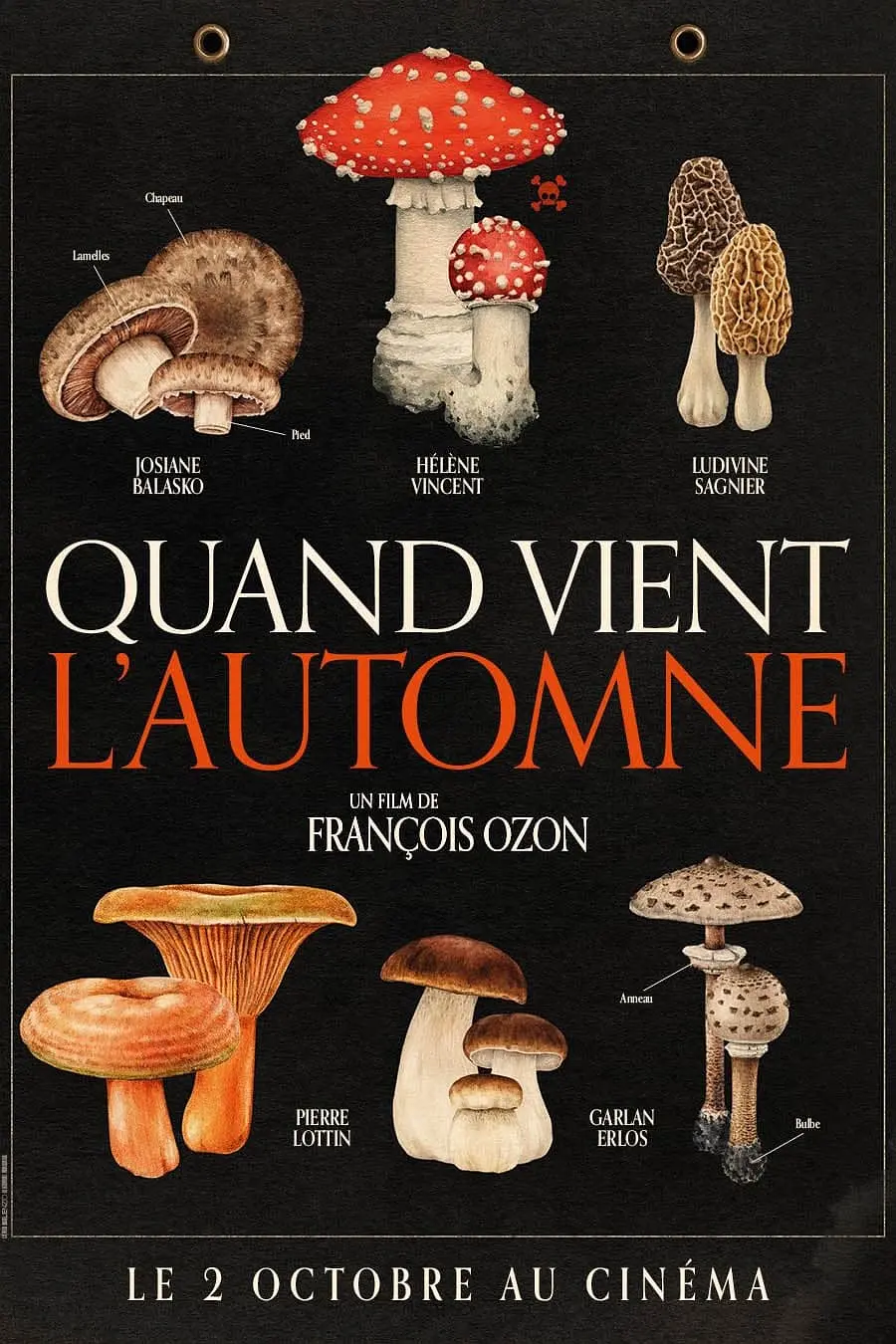 秋日何时来封面图