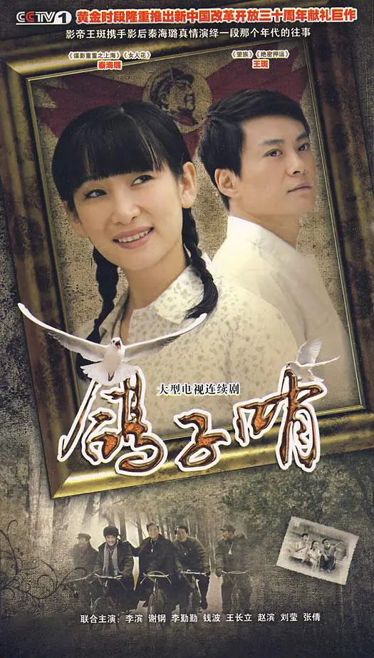 鸽子哨[电影解说]封面图