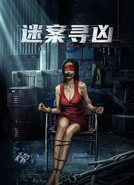 迷案寻凶电影版封面图