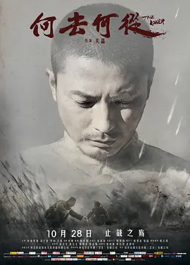 何去何从封面图