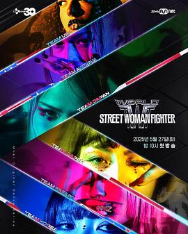 世界街头女斗士第三季封面图
