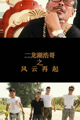 二龙湖浩哥之风云再起封面图