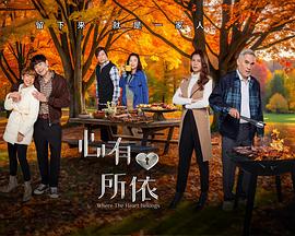 心有所依封面图