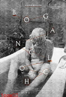 林中空地封面图