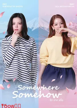 固执的爱封面图