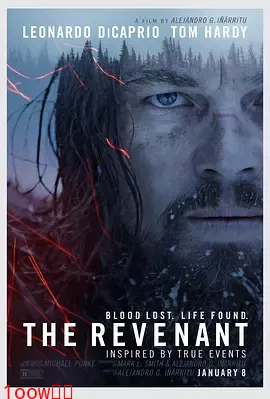 荒野猎人[电影解说]封面图