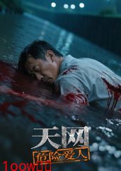 天网：危险爱人封面图