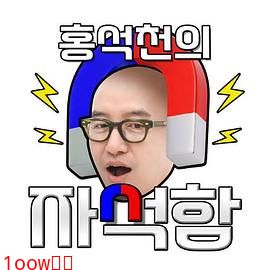 洪锡天的磁铁盒封面图