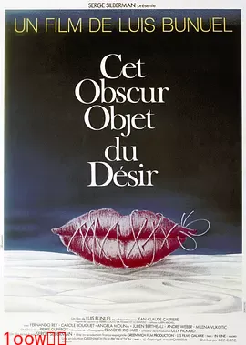 朦胧的欲望[电影解说]封面图