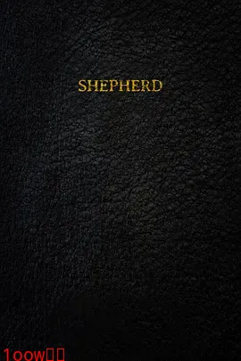 牧羊人2023[电影解说]封面图