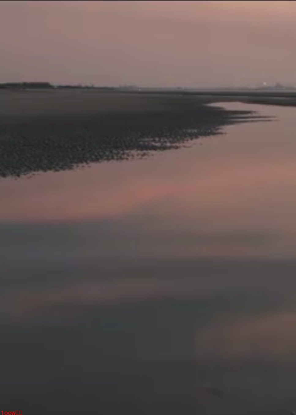 两个爸爸的故事封面图