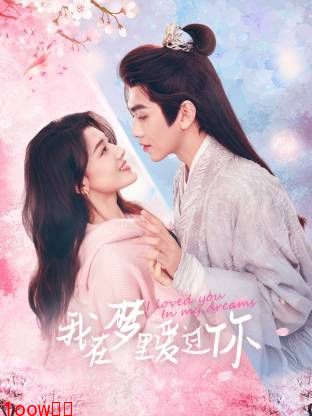 我在梦里爱过你封面图