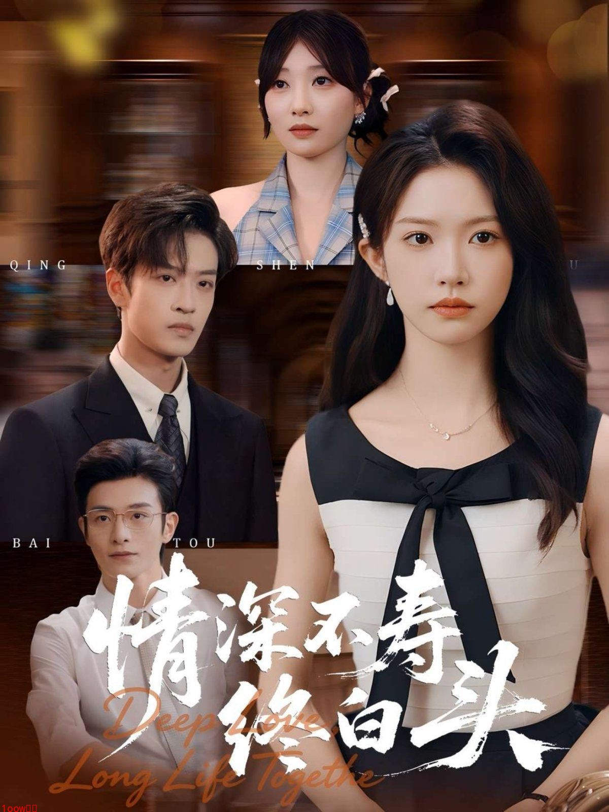 情深不寿终白头封面图